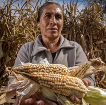 Día nacional de la agricultura: ¿Por que se celebra hoy 2 de julio?