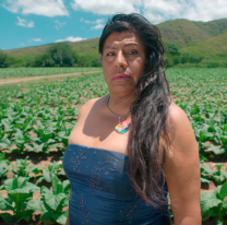 Se viene una jornada de cine comunitario en Chicoana