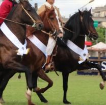 Será obligatoria la presencia de veterinarios en todos los desfiles con caballos