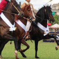 Será obligatoria la presencia de veterinarios en todos los desfiles con caballos