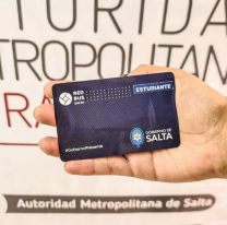 Por vacaciones de invierno no regirá el boleto gratuito para estudiantes del interior