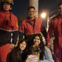Bomberos voluntarios rescataron y salvaron a un perrito en Salta