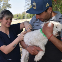 La próxima semana habrá vacunación antirrábica en la zona sur