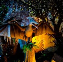 "Viven Dinosaurios" extiende su estadía en Salta hasta el 24 de agosto