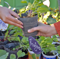 Este sábado habrá una nueva jornada de Ecocanje en los Parques Urbanos