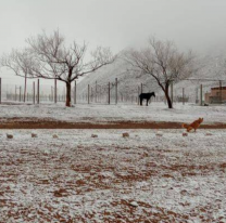 La capital salteña del queso "Isonza" amaneció cubierto de nieve
