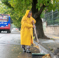 Así funcionarán los servicios municipales durante el viernes 15