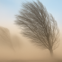 Alerta m&aacute;xima en Salta: vientos extremos y riesgo muy alto de incendios forestales