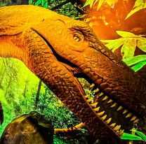 "Viven Dinosaurios" se despide de Salta con una promoción imperdible