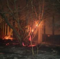 El municipio intervino hasta el momento en 74 incidentes ocasionados por el viento