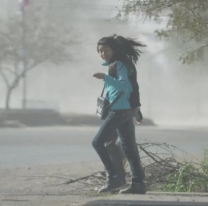 Tiempo en Salta: alerta por fuertes vientos en varios puntos de la provincia