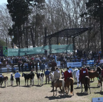 El gobernador Sáenz inauguró la 81° Exposición Rural y reafirmó el compromiso de Salta con el desarrollo agropecuario y el federalismo