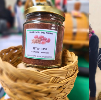 Estudiantes salteños crearon una harina de vino nutritiva y sustentable