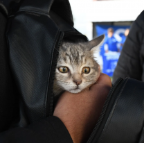 El Móvil de Castración atenderá en Solidaridad IV y Fraternidad