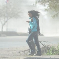 Rige alerta por fuertes vientos de hasta 100km/h en Salta