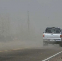 Tiempo en Salta: alerta amarilla por fuertes vientos en la provincia