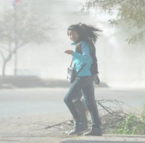 Tiempo en Salta: alerta amarilla por fuertes vientos y Zonda en distintas zonas de la provincia