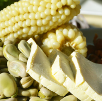 Se viene el encuentro con la cocina andina "Sabores de la Quebrada del Toro" 