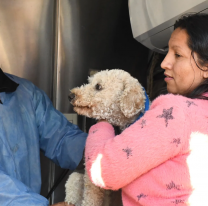 Así será el cronograma de la próxima semana del Móvil de Castración