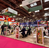 Salta promociona su oferta turística en Francia