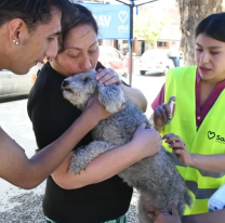 Con una vacunación masiva Salta conmemoró el Día Mundial contra la Rabia