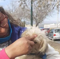 Profunda tristeza en Salta: falleció Nicole Sasso, incansable defensora de los animales