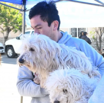 Se intensifica la vacunación antirrábica en la frontera con Bolivia