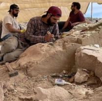 Hallaron el cráneo de un dinosaurio en el vivo paleontológico del CONICET