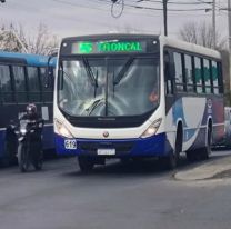 SAETA informó que este domingo será gratuito el pasaje en colectivos
