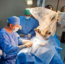 Colocaron implantes auditivos a 27 pacientes en los hospitales Papa Francisco y Materno Infantil