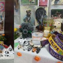 Familia salteña armó un altar para recordar a sus perritos fallecidos