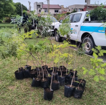 Plantaron más de 200 árboles en el Ecoparque y en el parque Los Sauces