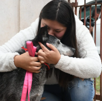 Xuxa fue adoptada y ahora tiene un nuevo hogar llevo de amor