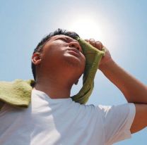 Cómo estará el clima en Salta esta semana: lunes soleado y días nublados