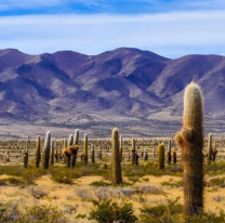 Hoy es el Día de los Parques Nacionales Argentinos