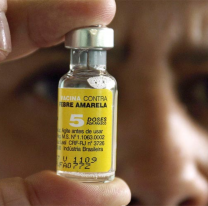 Se aplicaron más de 21 dosis contra la fiebre amarilla en la provincia