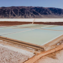 Avanza en Salta el proyecto de litio Pozuelos-Pastos Grandes