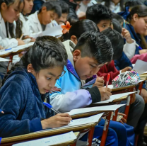 Hoy alumnos salteños vivirán la gran final de MateSalta
