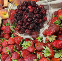 Por quinto mes se mantienen los precios de frutas y verduras en el mercado San Miguel