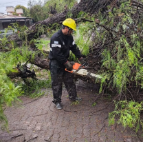 La Municipalidad intervino en 46 incidentes causados por la lluvia y el viento 