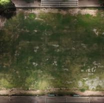 El Festival de San Carlos cambia de predio para recibir a más público