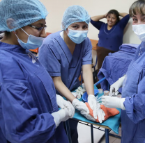 21 de Noviembre: hoy se conmemora el Día Nacional de la Enfermería