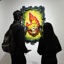 Últimos días de la muestra "El viaje natural de las cosas" en el Museo de la Ciudad