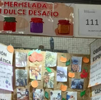 Salta obtuvo un reconocimiento nacional en la Feria de Educaci&oacute;n, Artes, Ciencias y Tecnolog&iacute;a 2025
