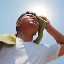 Atenci&oacute;n salte&ntilde;os: recomiendan tomar recaudos para evitar golpes de calor