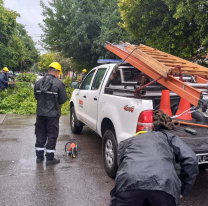 Solicitan tomar recaudos frente al pronóstico de tormentas