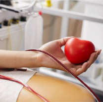 Hoy habrá colecta de sangre del grupo O factor RH positivo en la Legislatura