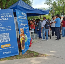 15 perritos del refugio municipal ahora tienen un nuevo hogar