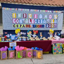 Este a&ntilde;o la Copa de Leche asisti&oacute; a 85 mil ni&ntilde;os en Salta