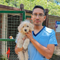 Abandonaron un cachorro 4 meses y buscan una familia que le de mucho amor